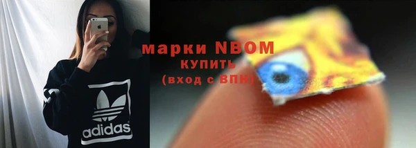 прущий лед Абаза
