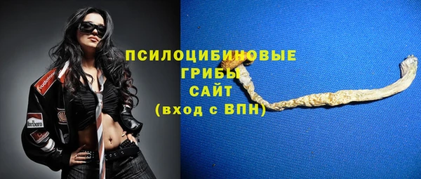 амф Осташков