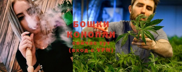 гидра Болохово