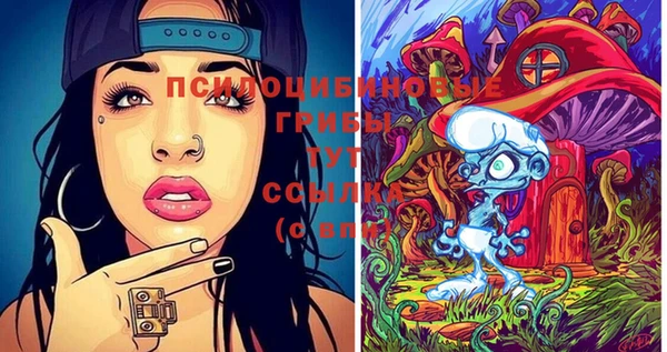 шишки Абдулино