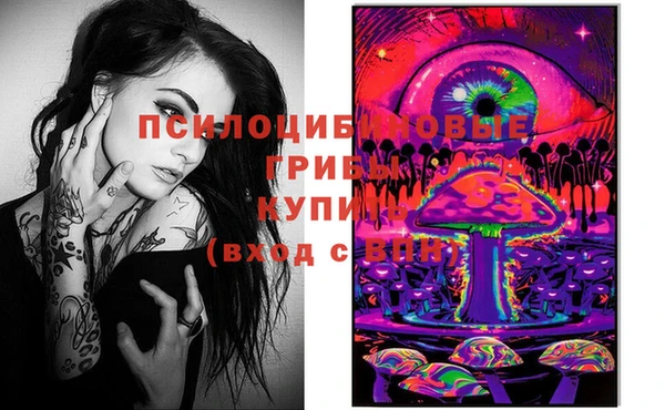 шишки Абдулино